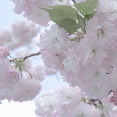 青浦FurryQQ群介绍